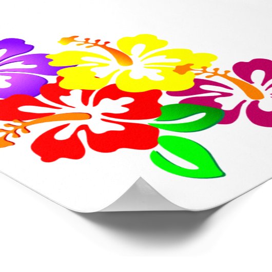 HIBISKEN BLUME FARBIGE ECKBILDSCHIRME L POSTER (Ecke)