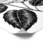 HIBISKEN BLUME II POSTER (Ecke)