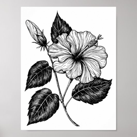 HIBISKEN BLUME II POSTER (Vorne)