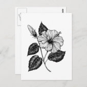 Hibisken Blume II Postkarte (Vorne/Hinten)