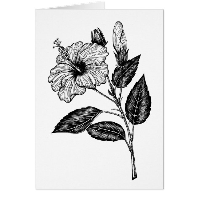 HIBISKEN BLUME III (Vorne)