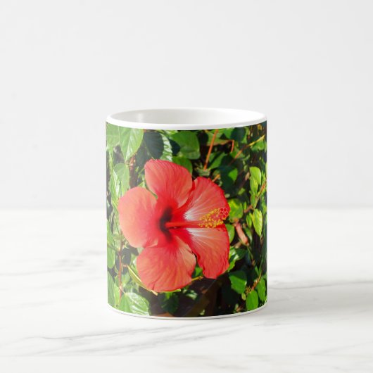 Hibisken Blume Kaffeetasse (Mittel)