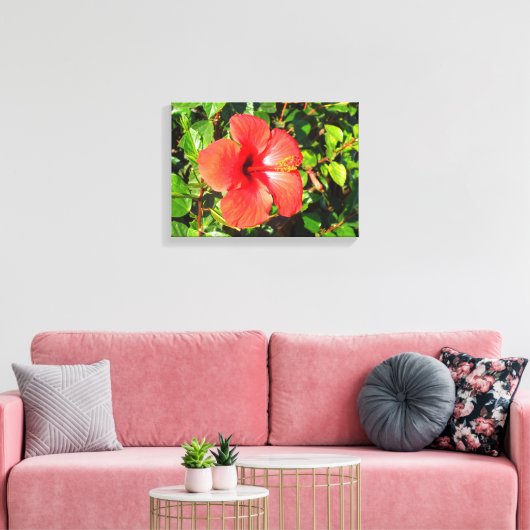 Hibisken Blume Leinwanddruck (Insitu (Wohnzimmer))