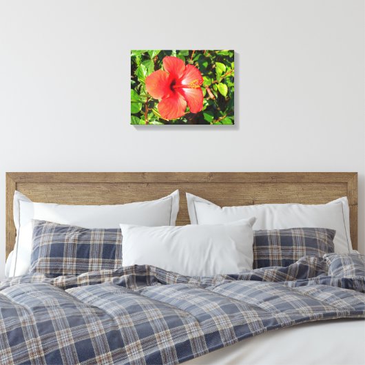 Hibisken Blume Leinwanddruck (Insitu (Schlafzimmer))