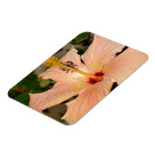 Hibisken-Blume Magnet (Linke Seite)