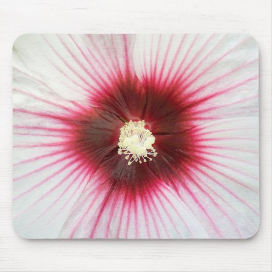 Hibisken Blume Makro Mousepad (Vorne)