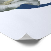 Hibisken Blume Monogramm Initial C Poster (Ecke)