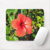 Hibisken Blume Mousepad (Mit Mouse)
