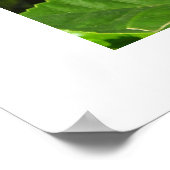 Hibisken Blume Poster (Ecke)