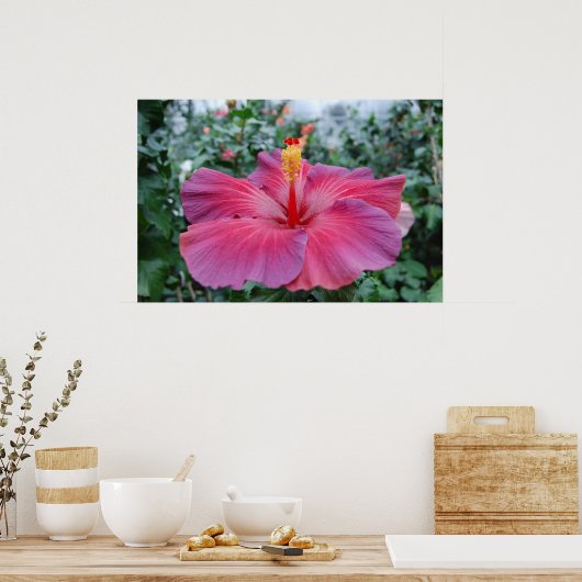 Hibisken Blume Poster (Küche)