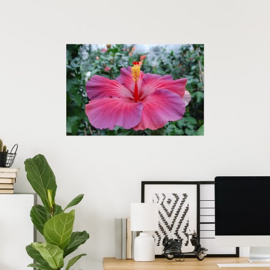 Hibisken Blume Poster (Heimbüro)
