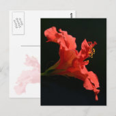 Hibisken Blume Postkarte (Vorne/Hinten)