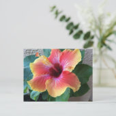 Hibisken Blume Postkarte (Stehend Vorderseite)