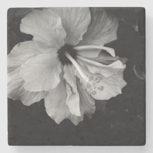 Hibisken Blume Steinuntersetzer