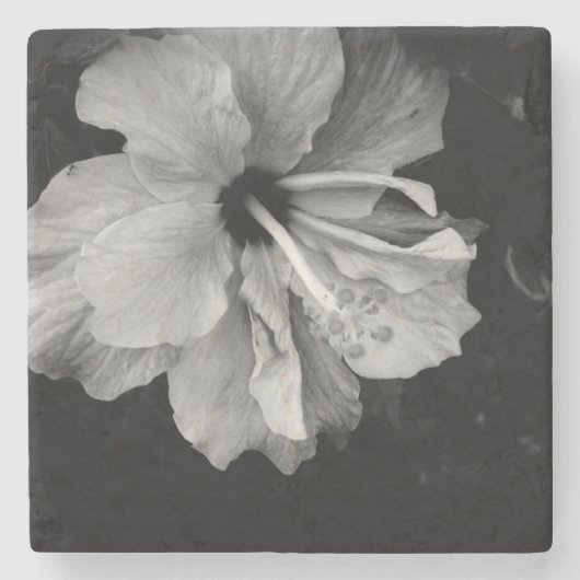Hibisken Blume Steinuntersetzer (Vorderseite)