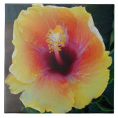 Hibisken Blume Tile Fliese (Vorderseite)