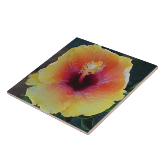 Hibisken Blume Tile Fliese (Seite)