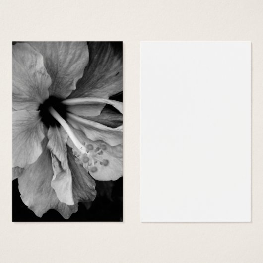 Hibisken Flyer (Vorne & Hinten)