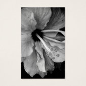 Hibisken Flyer (Vorderseite)