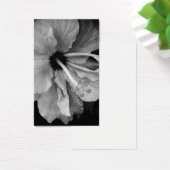 Hibisken Flyer (Schreibtisch)