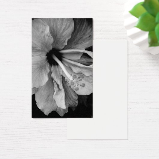 Hibisken Flyer (Schreibtisch)