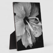 Hibisken Flyer Fotoplatte (Seite)