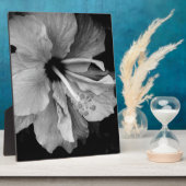 Hibisken Flyer Fotoplatte (Seite)