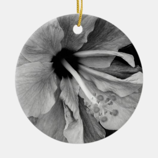 Hibisken Flyer Keramik Ornament (Vorne)