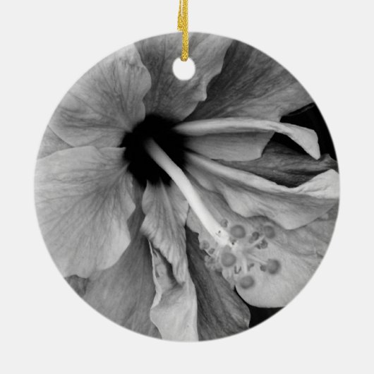 Hibisken Flyer Keramik Ornament (Hinten)