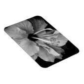 Hibisken Flyer Magnet (Rechte Seite)
