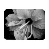Hibisken Flyer Magnet (Horizontal)