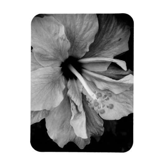 Hibisken Flyer Magnet (Vertikal)