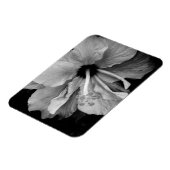 Hibisken Flyer Magnet (Linke Seite)