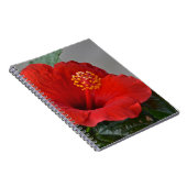 Hibisken-Notebook Notizblock (Rechte Seite)