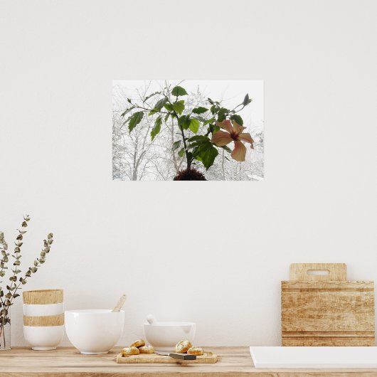 Hibisken Nr. 1 Poster (Küche)