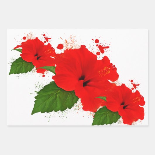 Hibisken Packer Geschenkpapier Set (Vorderseite)