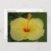 Hibisken Postkarte (Vorne/Hinten)