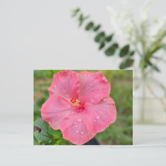 Hibisken Postkarte (Stehend Vorderseite)