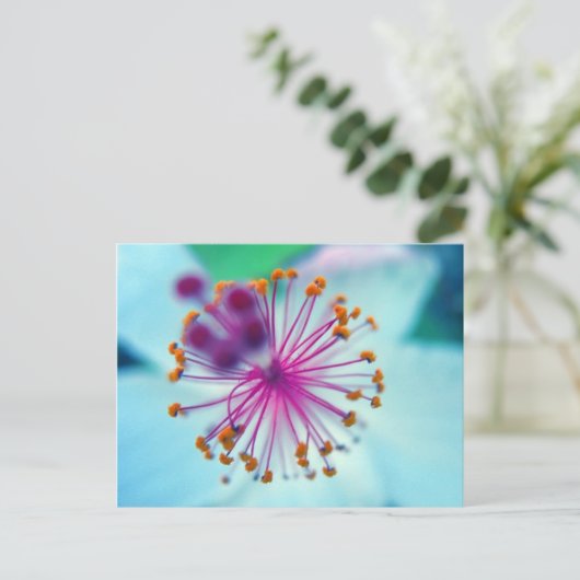 Hibiskus 10 postkarte (Stehend Vorderseite)