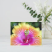Hibiskus 19 postkarte (Stehend Vorderseite)