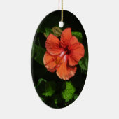 Hibiskus 424 Ornament (Rechts)