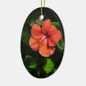 Hibiskus 424 Ornament (Links)
