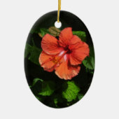 Hibiskus 424 Ornament (Vorne)