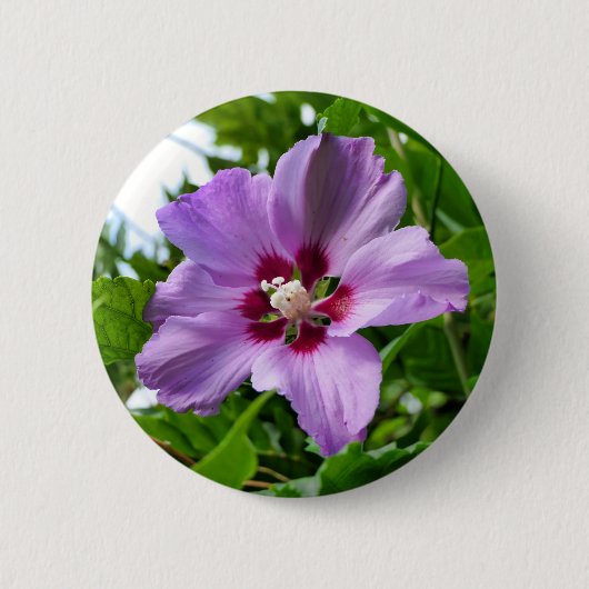 Hibiskus Abzeichen Button (Vorderseite)