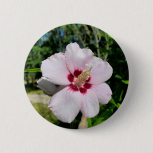 Hibiskus Abzeichen Button