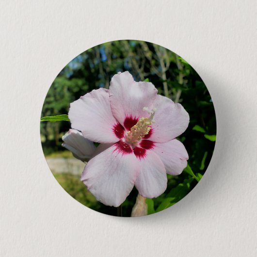 Hibiskus Abzeichen Button (Vorderseite)