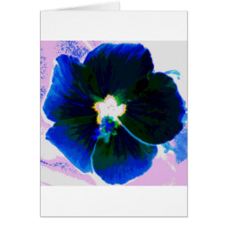 Hibiskus Azul