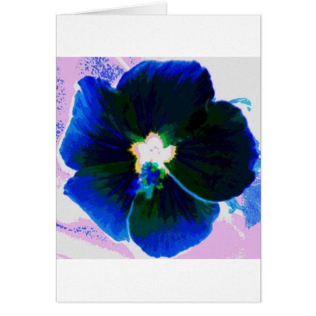 Hibiskus Azul (Vorne)