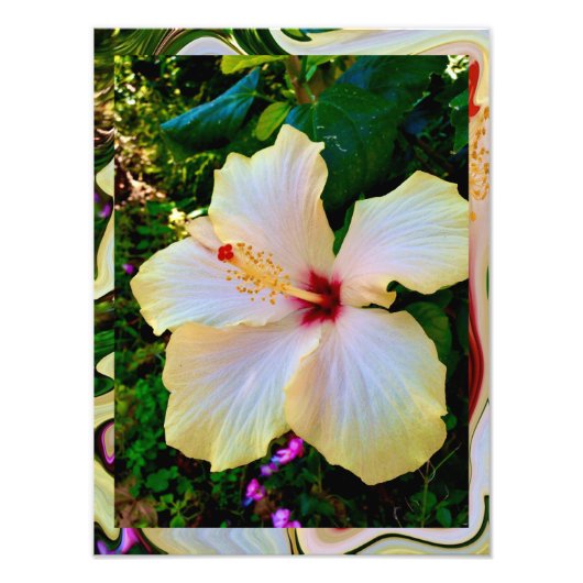 Hibiskus Beauty Fotodruck (Vorne)