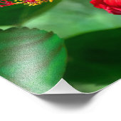 Hibiskus Blossom Fotodruck (Ecke)